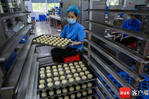 中秋月餅飄香忙 海口食品廠開(kāi)足馬力備戰(zhàn)佳節(jié)